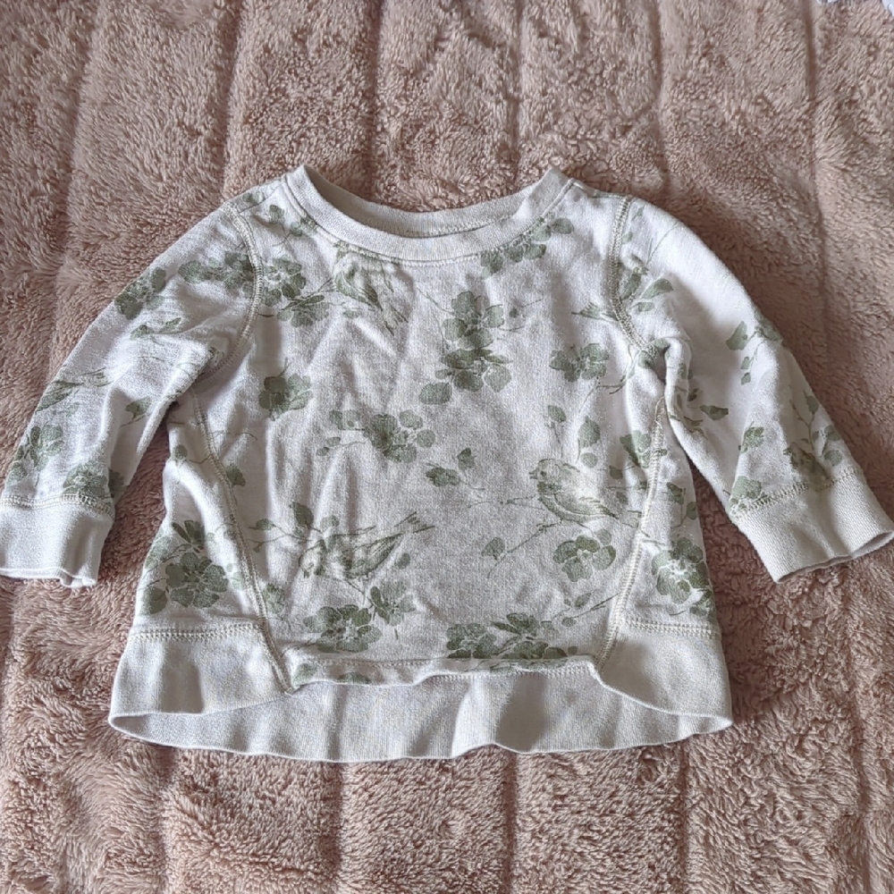 8/$20 Baby Gap 5T Floral Green/Ivory Sweatshirt